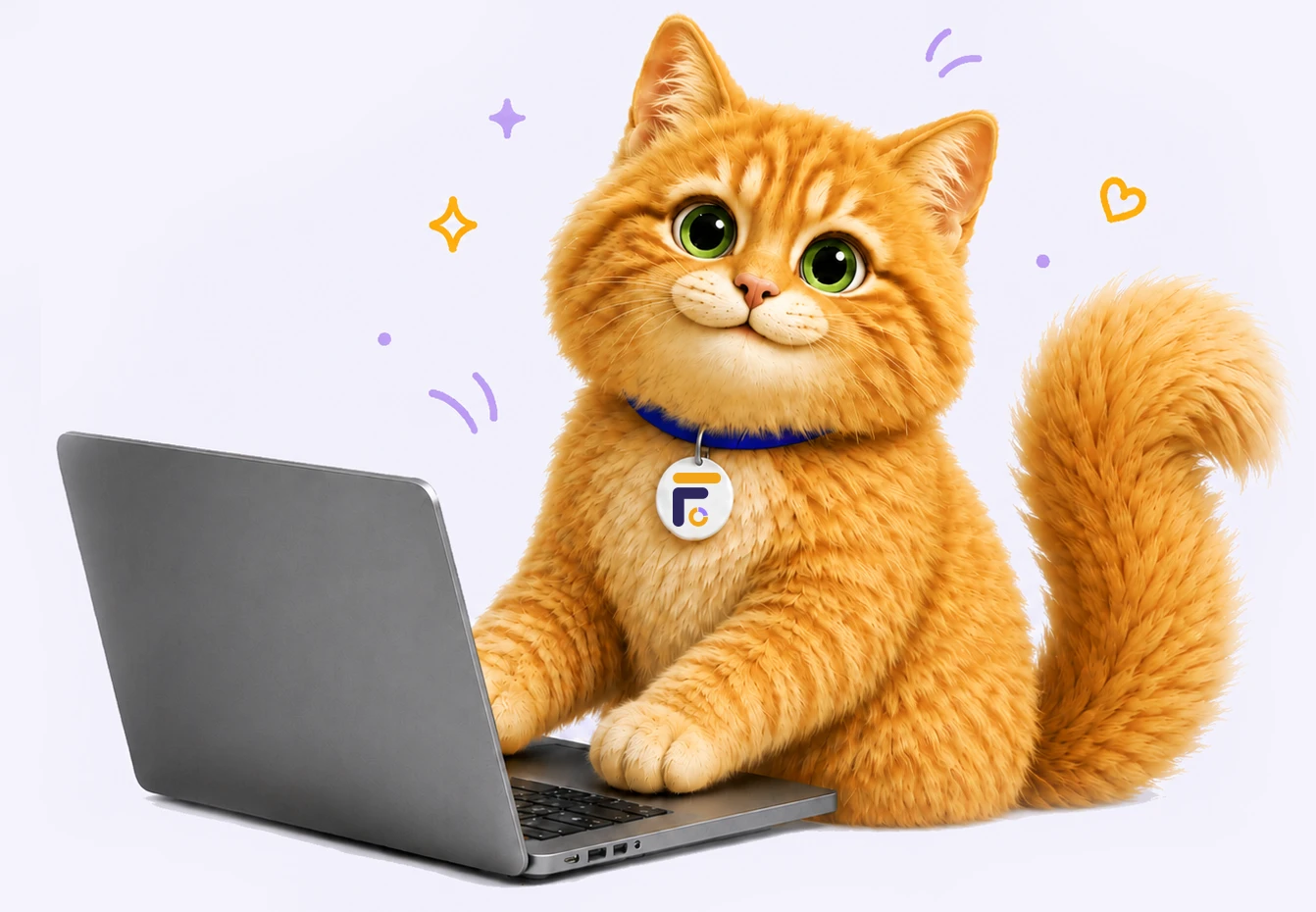 Muffins the Cat logging fieldwork hours on a laptop in FieldworkABA